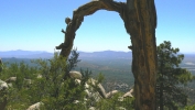 PICTURES/Granite Mountain Trail/t_Wooden Arch.JPG